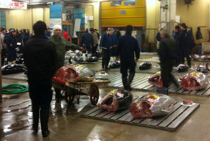 Interior de la subasta de atunes en el Mercado de Tsukiji — Tokyo, Japón