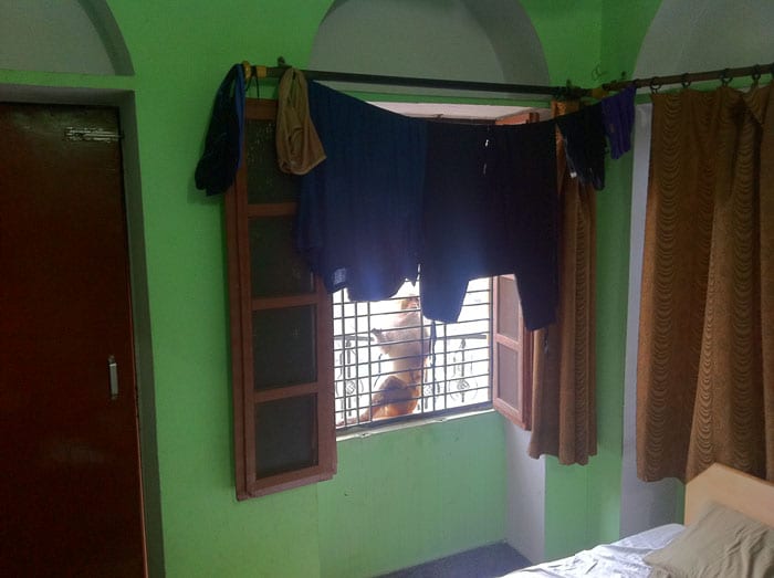 Los monos vienen a vernos a nuestra habitación de Varanasi. — India