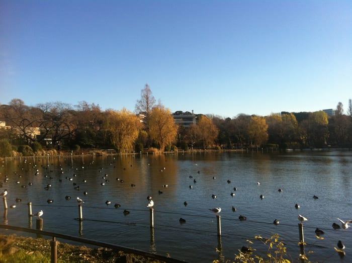 Lagos en el Parque de Ueno — Tokyo, Japón