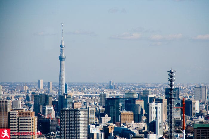 Mirador de las Tokyo City Hall (東京都庁舎) y planificación del viaje