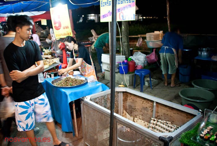 Bichos!! Bichos!! — Chiang Rai, Tailandia