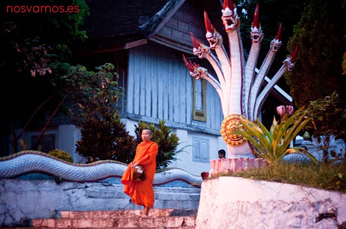 monjes-luang-prabang-tak-bat-1 — Luang Prabang, Laos