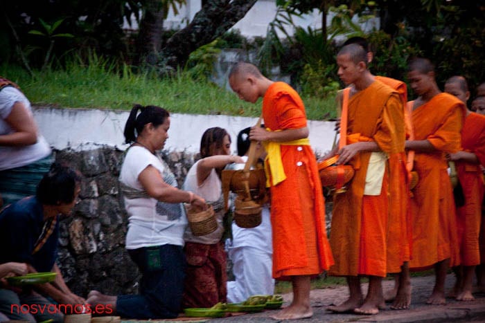 monjes-luang-prabang-tak-bat-11 — Luang Prabang, Laos