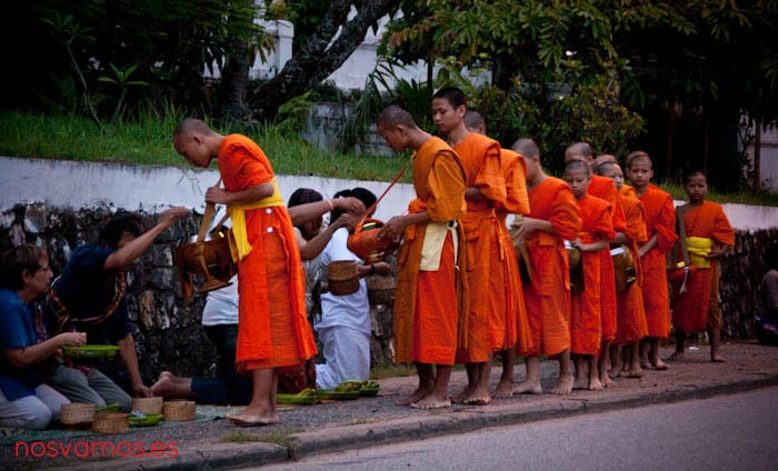 monjes-luang-prabang-tak-bat-12 — Luang Prabang, Laos