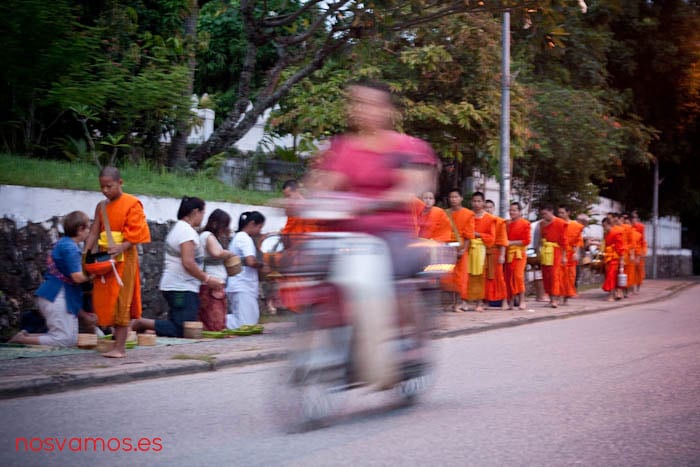 monjes-luang-prabang-tak-bat-13 — Luang Prabang, Laos