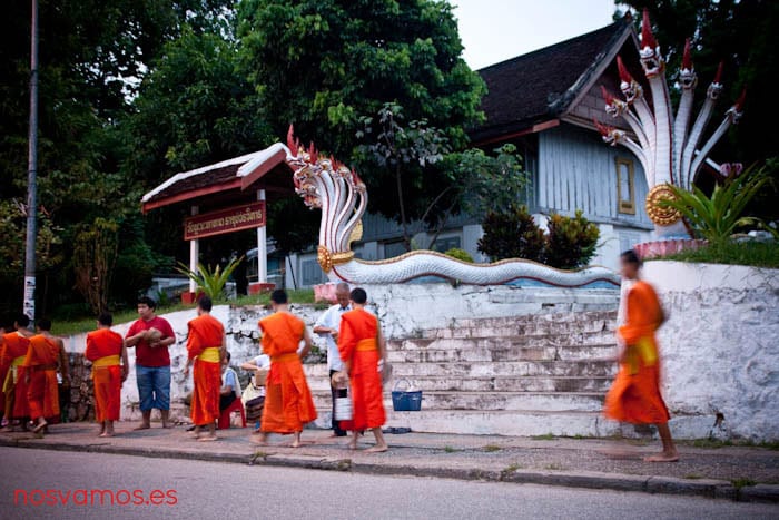 monjes-luang-prabang-tak-bat-14 — Luang Prabang, Laos