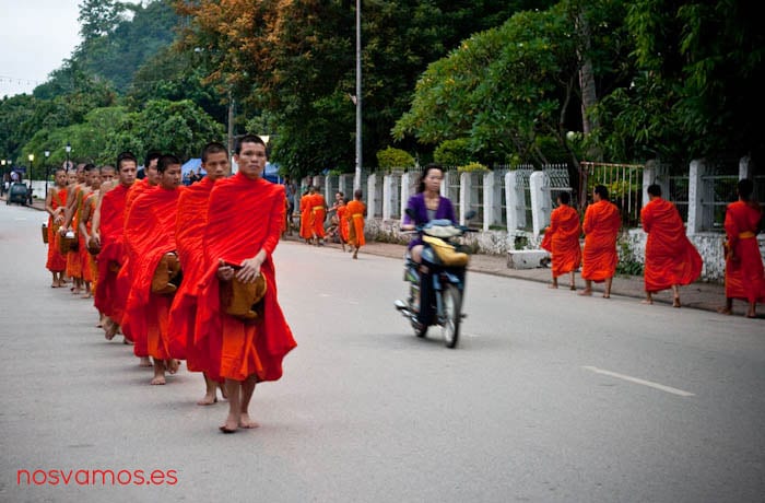 monjes-luang-prabang-tak-bat-15 — Luang Prabang, Laos