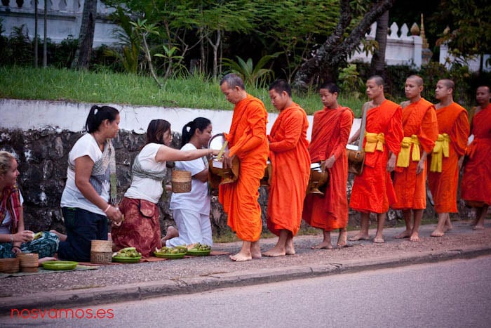 Alimentar a los monjes en Luang Prabang - Tak Bat