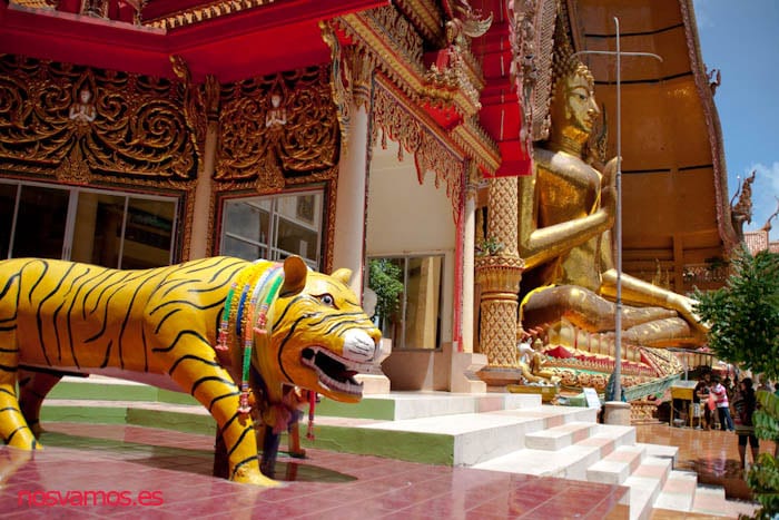 Por algo se llama la Cueva del tigre — Kanchanaburi, Tailandia