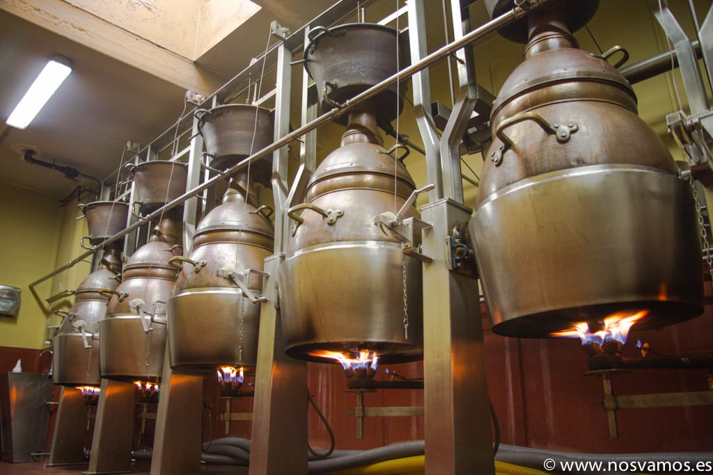 Picos de Cabariezo, vino y orujo de Liébana