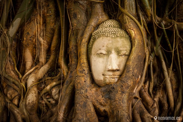 Qué ver en el Parque Histórico de Ayutthaya