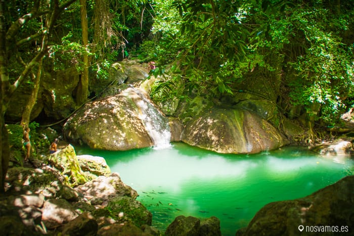 Cascada del nivel 4 — Kanchanaburi, Tailandia