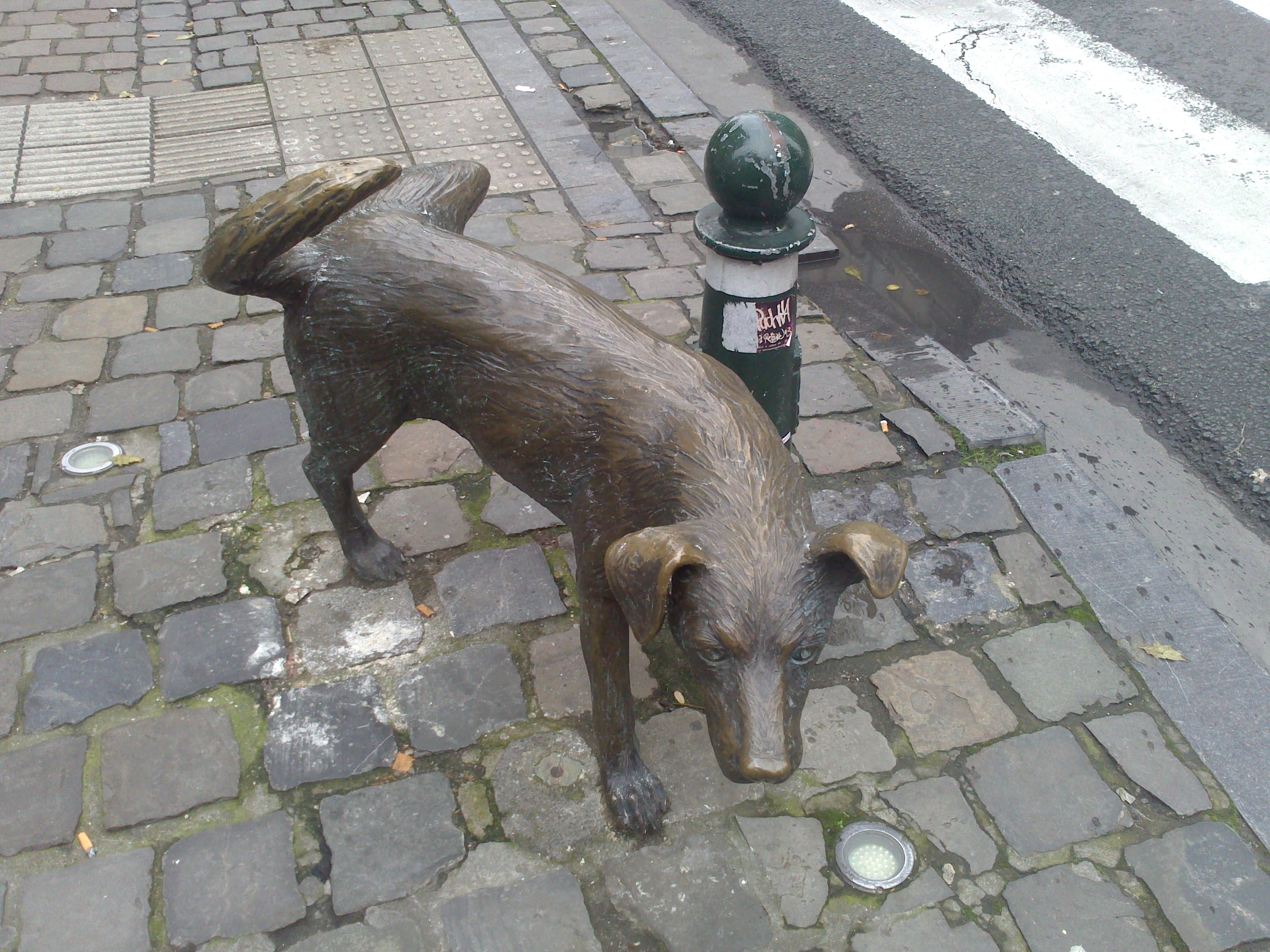 Zinneke pis y la Zinneke Parade
