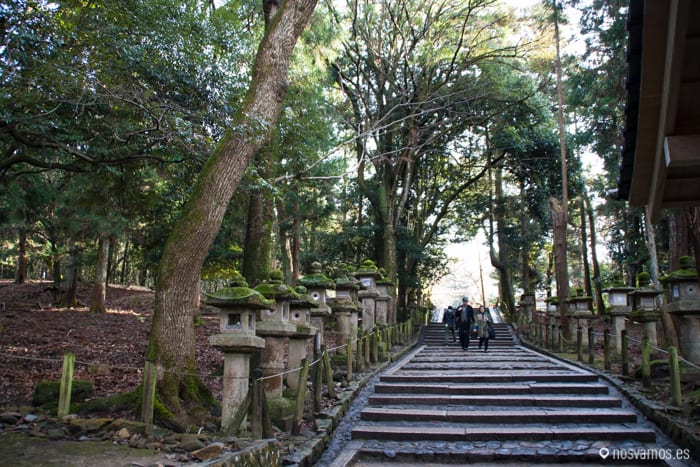 Los faroles están repartidos por todo el monte — Nara, Japón