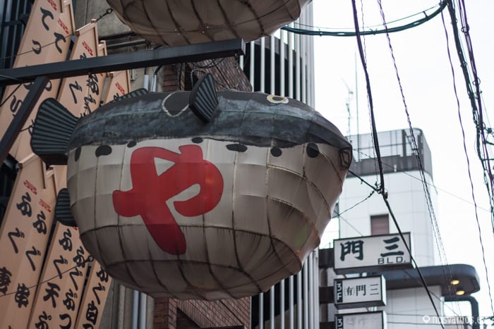 Los 'mostruitos' de los restaurantes creo que se ponen para ver quien llama más la atención — Osaka, Japón