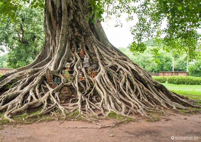 sukothai-13 — Sukhothai, Tailandia