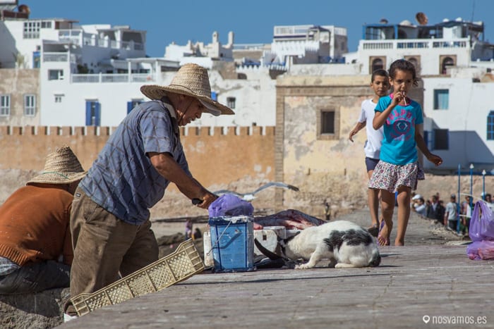 Essaouira, la ciudad del viento