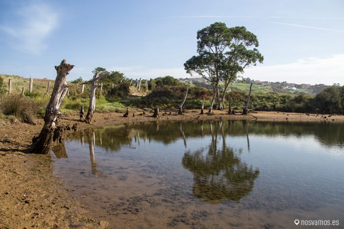 EN la laguna del bosque fosilizado — España