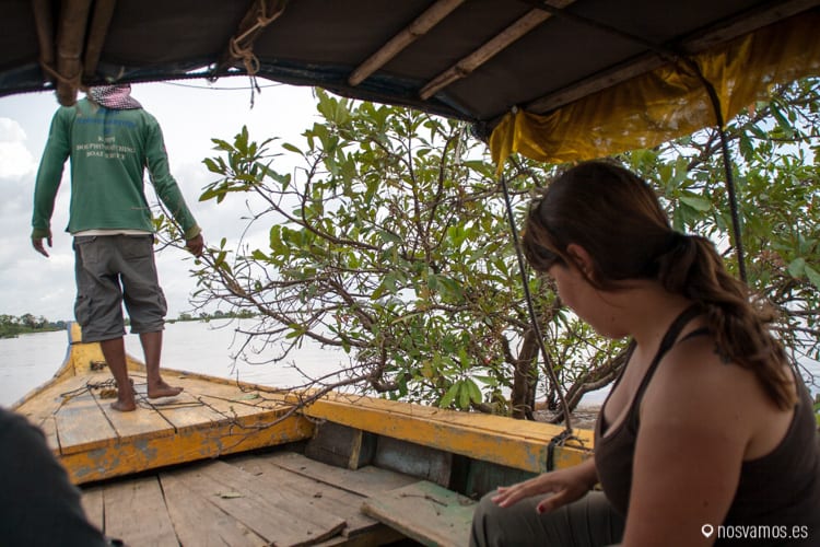 Mola mucho cuando nos escondemos en medio de unos árboles que nacen en medio del río — Kratie, Camboya