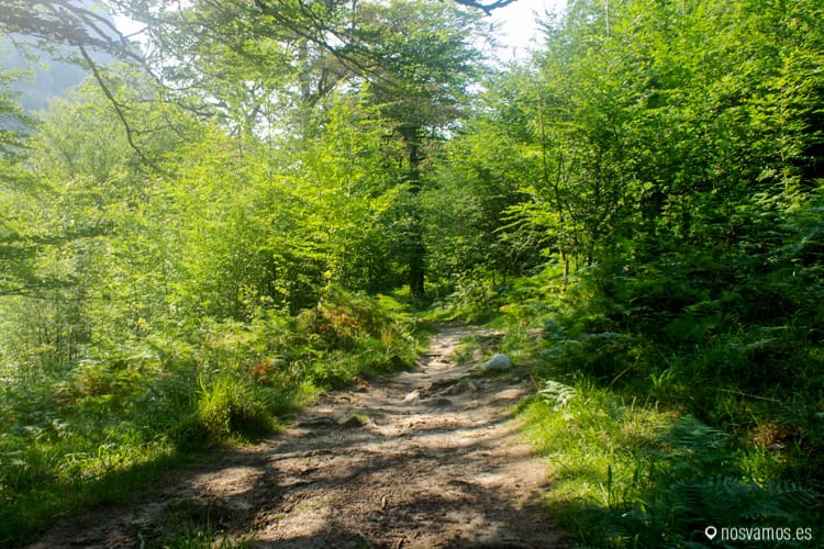 SONY DSC — España