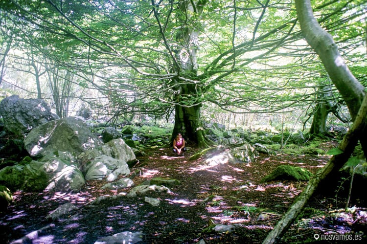 SONY DSC — España