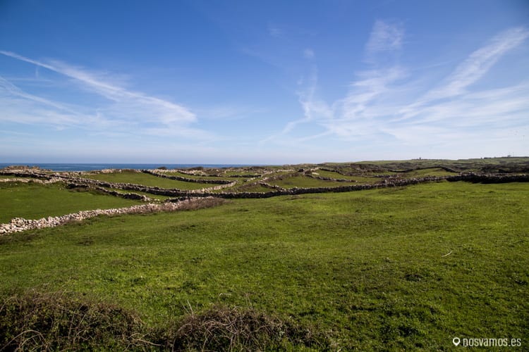 Cerca de la Maruca, prados y huertas — Santander, España
