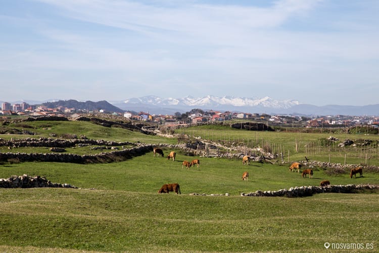 Espectaculares vistas desde la senda, al fondo los picos de Europa, en medio, peña Castillos — Santander, España