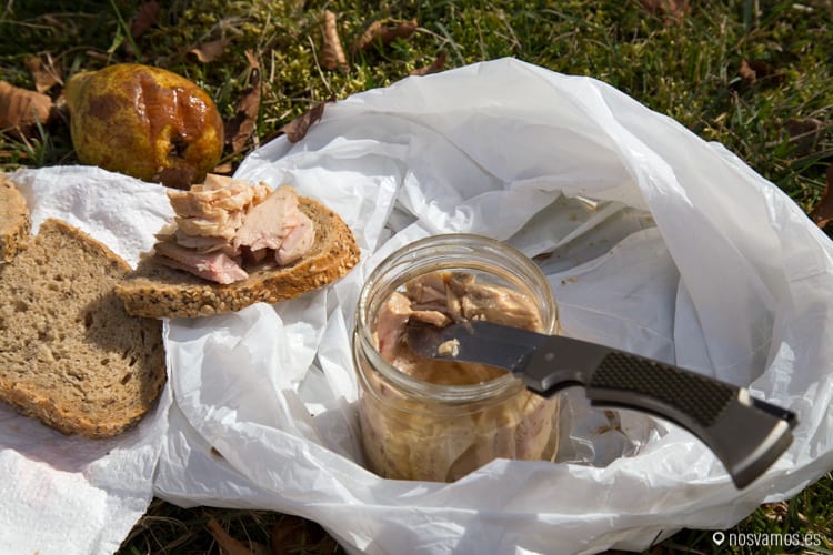 ucieda-ruta-puentes-11 — España