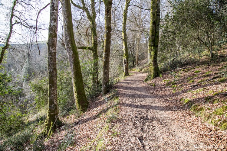 ucieda-ruta-puentes-3 — España