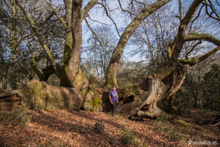 ucieda-ruta-puentes-6 — España