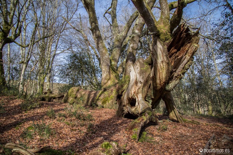 ucieda-ruta-puentes-7 — España