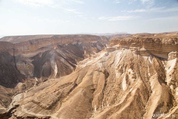 masada-4 — Palestina
