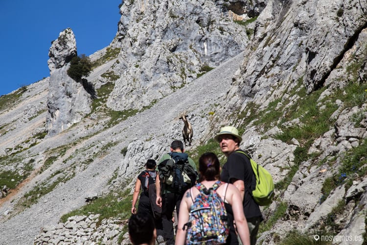 ruta_del_cares-2 — España