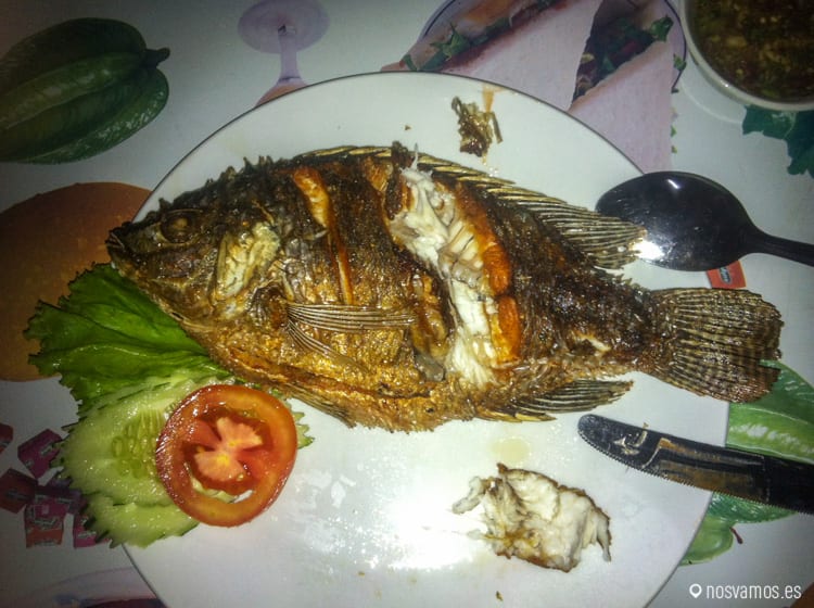 Un pescadito del Mekong — Laos