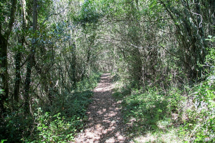 subida-buciero-4 — España