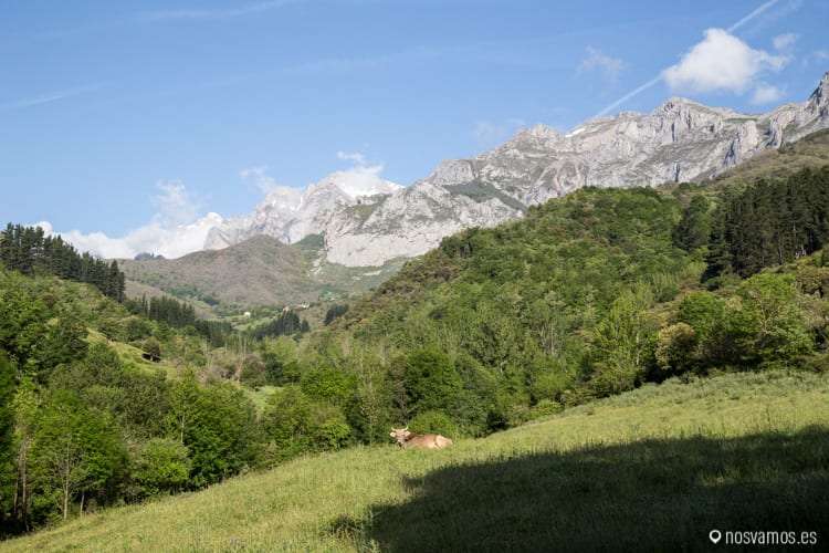 Los Picos de Europa desde Cabañes — Camino Lebaniego, España