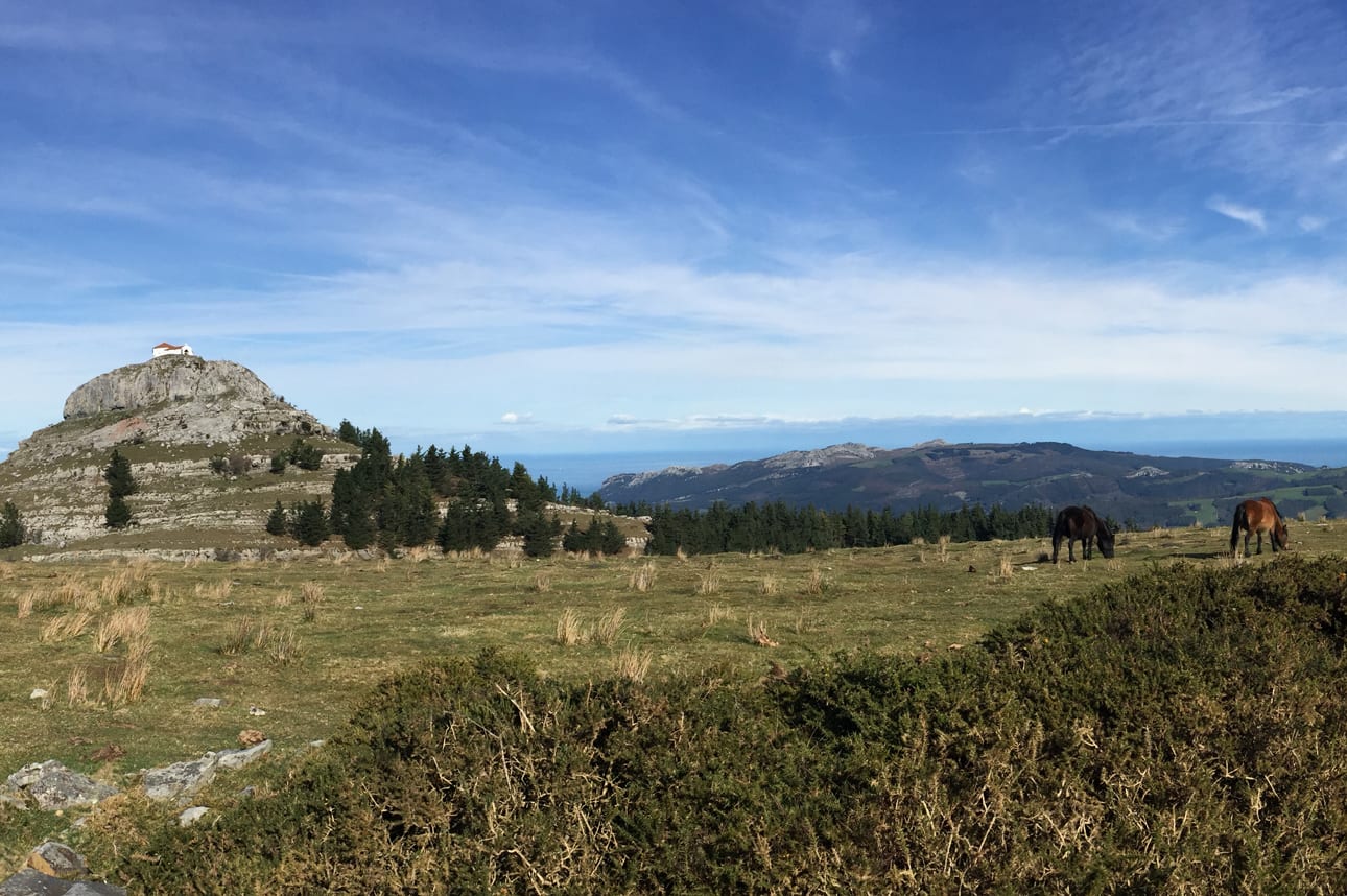 Cooltoure, experiencias únicas