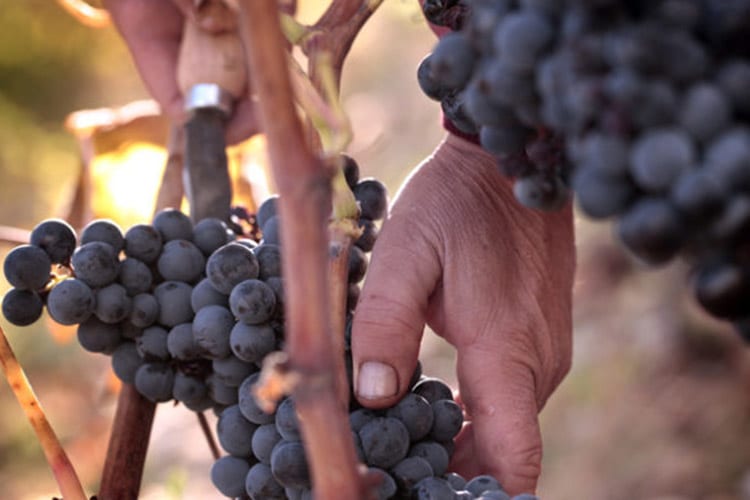 4 Planes turísticos para Otoño