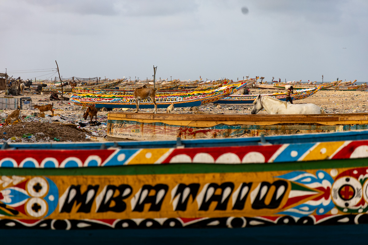 Senegal
