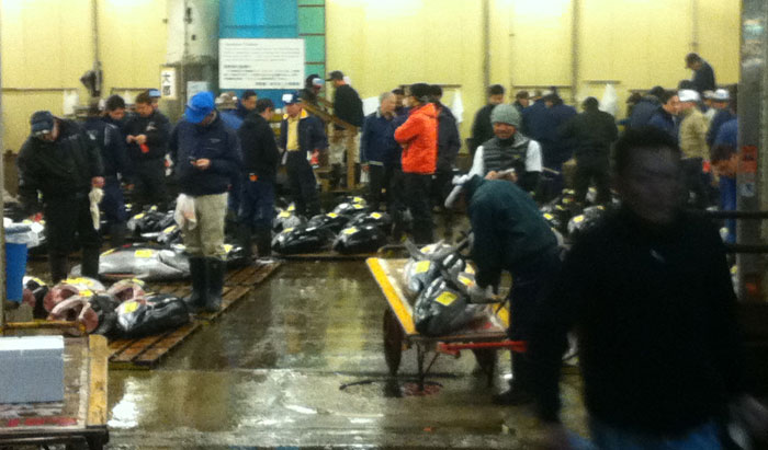 Interior de la subasta de atunes en el Mercado de Tsukiji