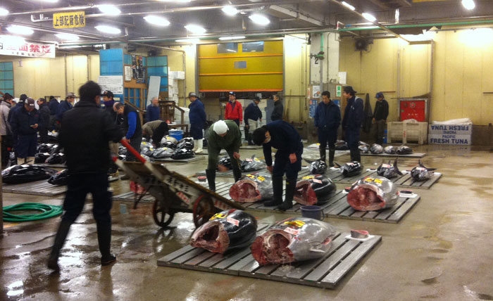 Interior de la subasta de atunes en el Mercado de Tsukiji
