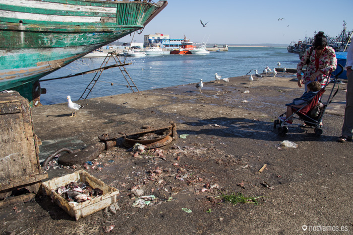 Los restos de la "limpieza" son habituales en el puerto, los olores son "curiosos"