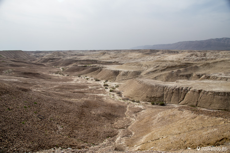 A pocos kilómetros al sur de Ramalah el entorno cambia totalmente